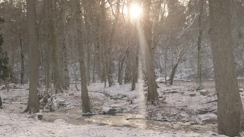 Sunlight streams through bare trees in a snowy forest, illuminating a peaceful stream nearby.
