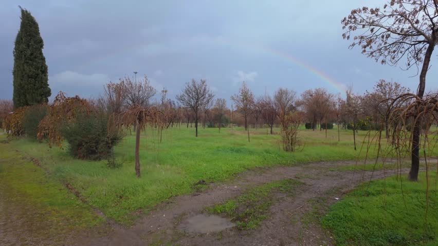 Rainbow Over Green Field After Rain In Peaceful Rural Landscape