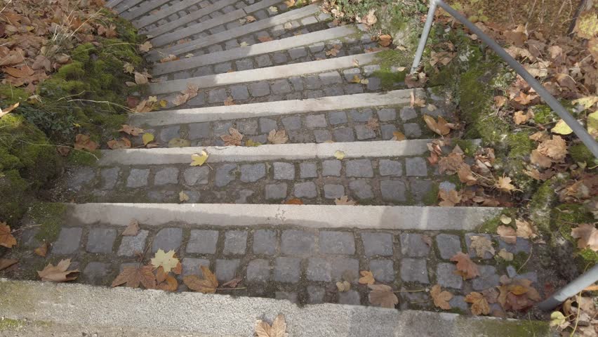 Old Stone Stairs Covered in Autumn Leaves in a Regensburg Park
