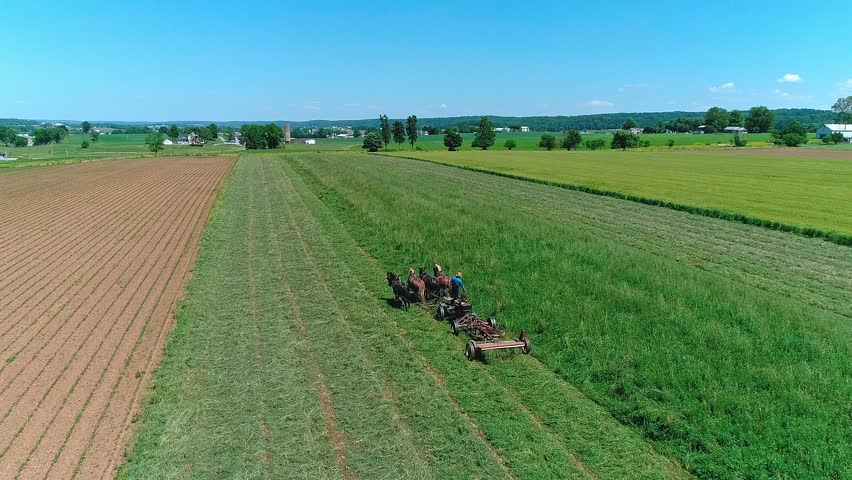 Farm machinery moves across wide fields in a rural area. The sun shines bright as workers manage the crops. The land shows different stages of growth in the fields.