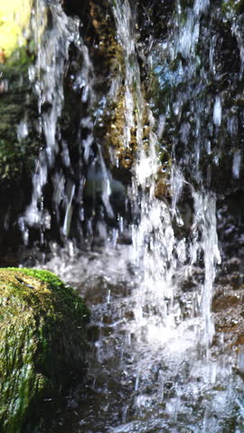 Crystal clear stream flowing over moss-covered rocks in a lush, peaceful forest