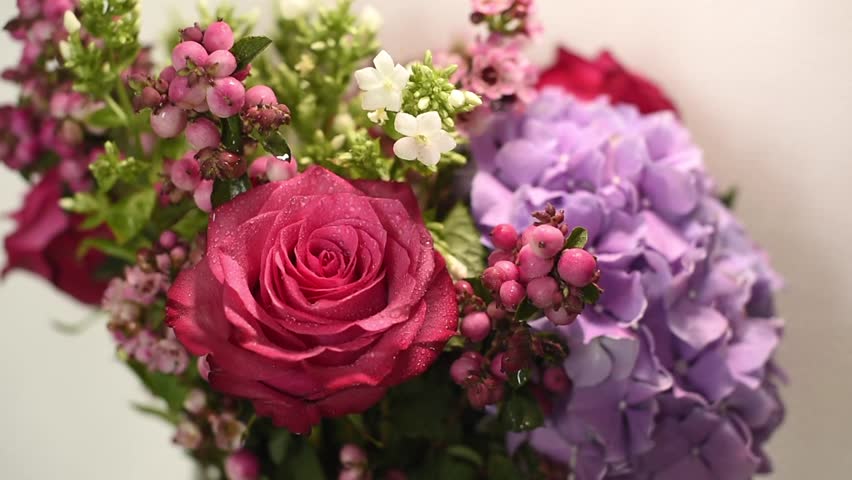 Macro shot of water droplets being sprayed onto a pink rose. Floral arrangement includes pink berries and purple hydrangea for Valentine