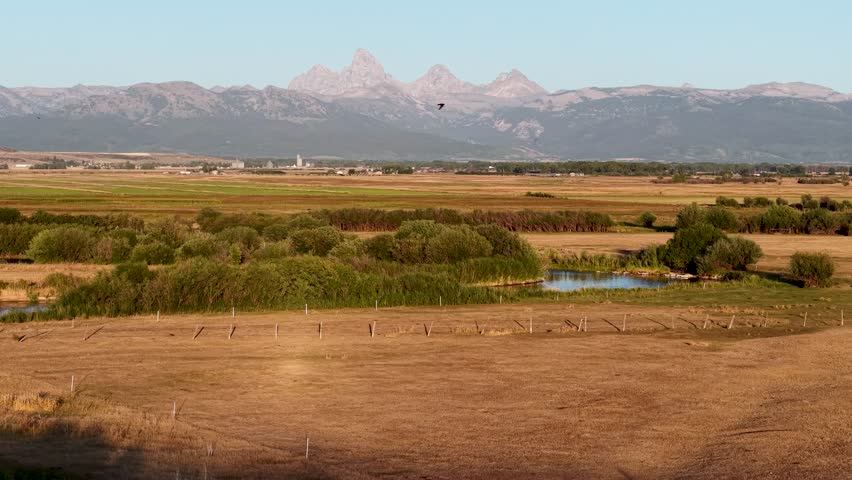 Wide view of grassy wetlands and small ponds with the snow-capped Teton Mountains in the background under a clear sky.