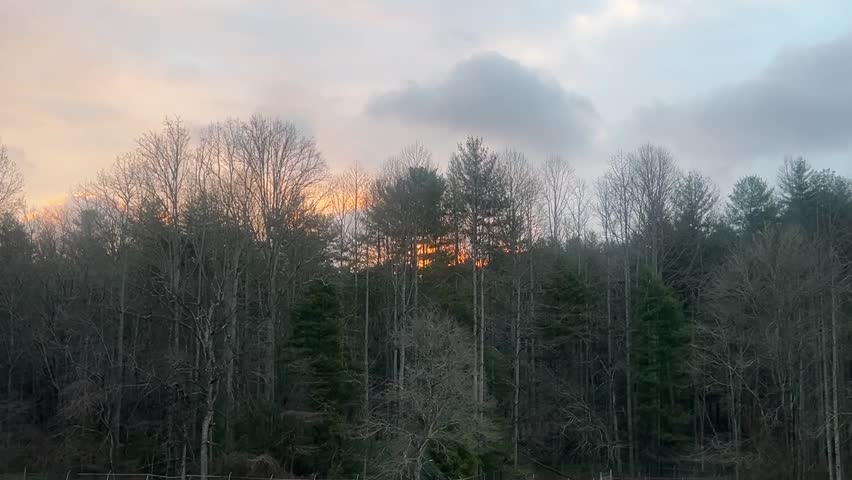 A beautiful sunrise over the spring forests of North Carolina.