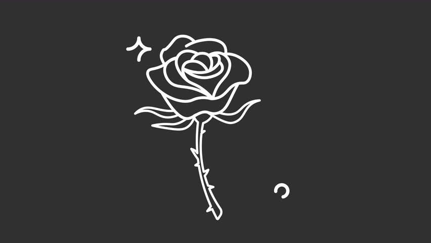 Rose flower floral bloom nature drawing