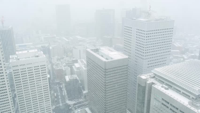 View from the Tokyo Metropolitan Government Building Observatory. Snowy Tokyo.