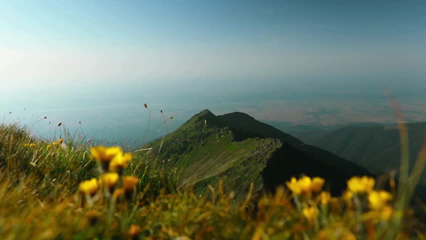 A serene mountain landscape with yellow flowers in the foreground and fog covering the valleys below