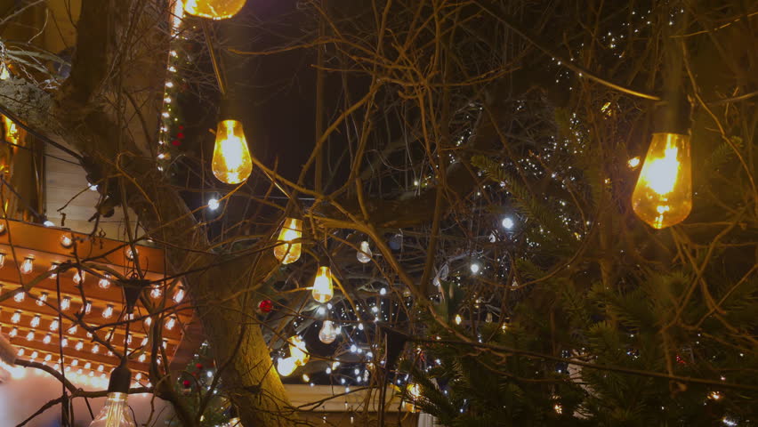 Warm festive string lights decorating outdoor trees at night, Holiday illumination scene creating cozy atmosphere with glowing bulbs and garlands