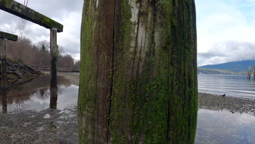 Barnet Marine Park Shoreline Pier Ruins Canada 4K UHD.Ruins of a pier along the Barnet Marine Park shoreline. Burnaby, British Columbia, Canada. 4K, UHD.
