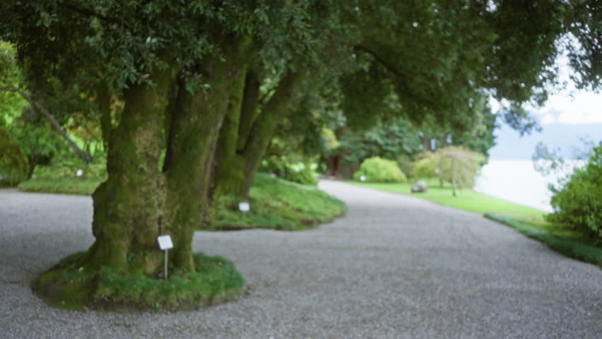 Blurred garden path lined with mossy tree trunks and soft defocused foliage, shallow bokeh with a gentle out of focus garden scene; background backdrop copyspace calm.