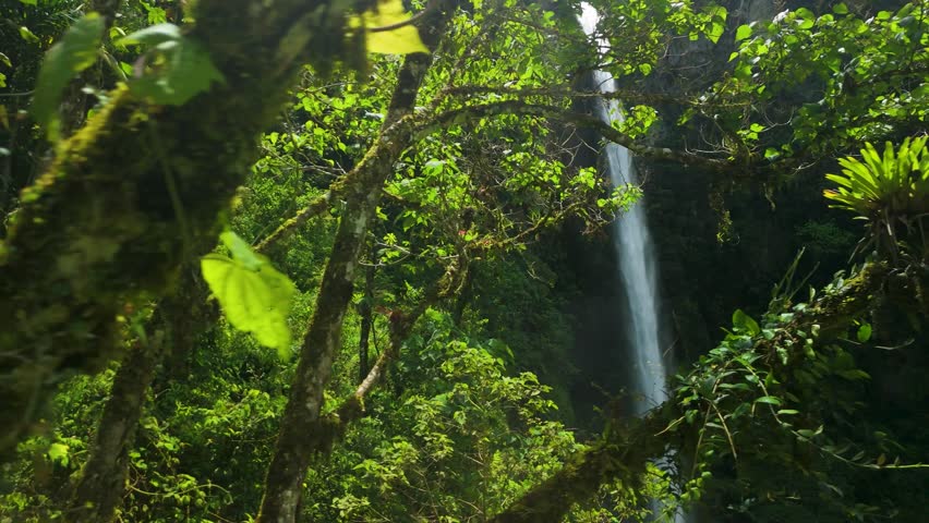Aerial drone dolly reveal of Cascada El Rocío waterfall in Machay Ecuador, powerful cascade flowing through lush tropical rainforest, dense green foliage and moss-covered branches framing the view