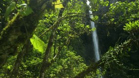 Aerial drone dolly reveal of Cascada El Rocío waterfall in Machay Ecuador, powerful cascade flowing through lush tropical rainforest, dense green foliage and moss-covered branches framing the view - Powered by Shutterstock - Get 15% off with code: PIKWIZARD15