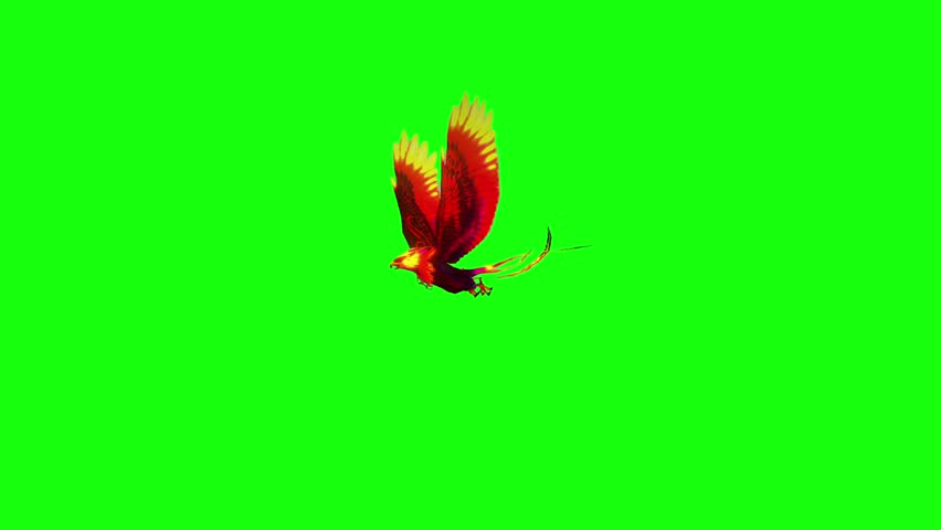 	
Majestic phoenix bird is soaring through the air its wings engulfed in flames, creating a captivating spectacled flying with green screen 4k	
