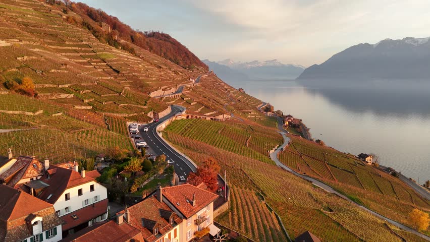Sunset at Lavaux Swiss Wine Terraces, Swiss Riviera, Lake Geneva, Canton Vaud, Switzerland