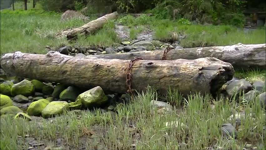 Log across babbling creek at Petersburg Alaska Sandy Beach Park.