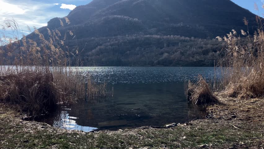 Static view of a lake framed by natural reeds forming a passage toward the water. Sunlight reflecting on the surface with mountains in the background in a peaceful outdoor scene.