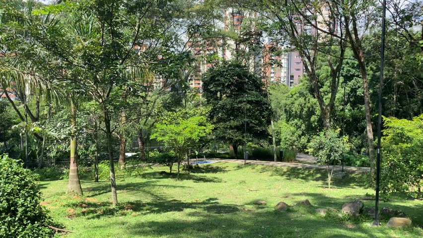 Public park called "El parque la frontera" with a moving brown doberman dog in the foreground in Medellin, Colombia.