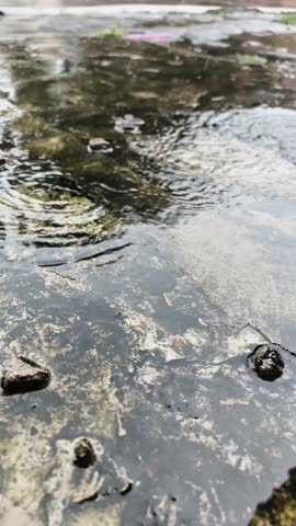 Raindrops falling onto a wet concrete surface forming concentric ripples and splashing.