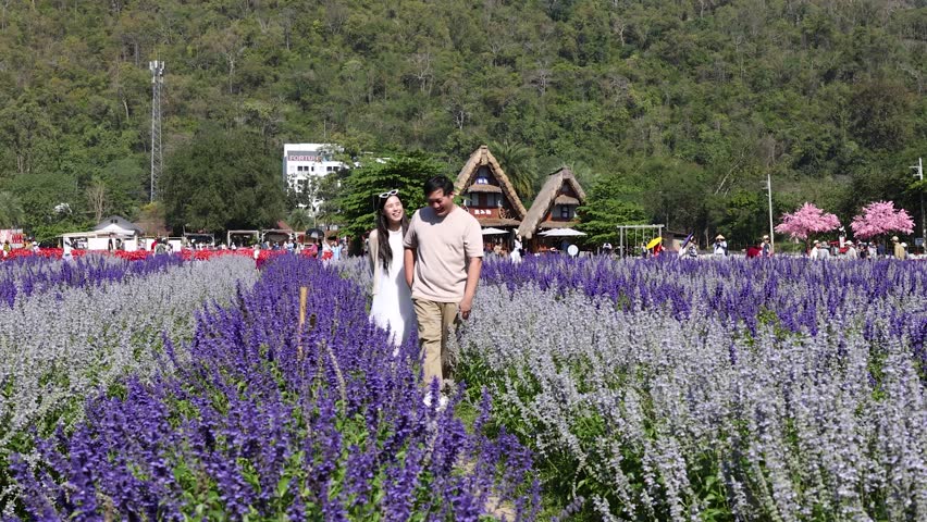 Smiling couple walks hand in hand through colorful lavender field on sunny day