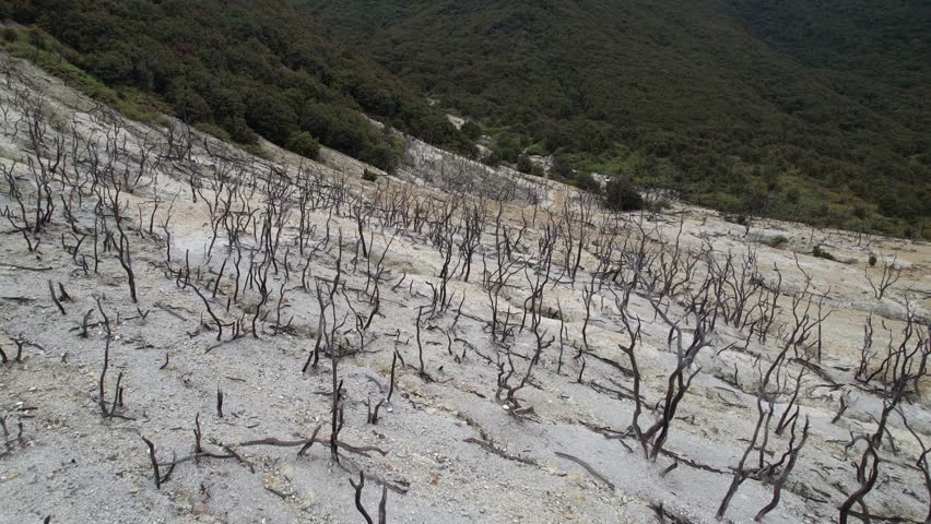 Aerial footage of Mount Papandayan in Garut, West Java,  the iconic Dead Forest.