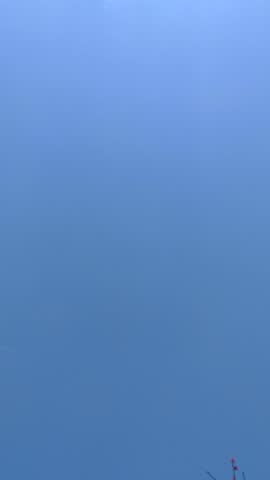 The view of the cherry blossom at the university in Sanxia in New Taipei City in Taiwan