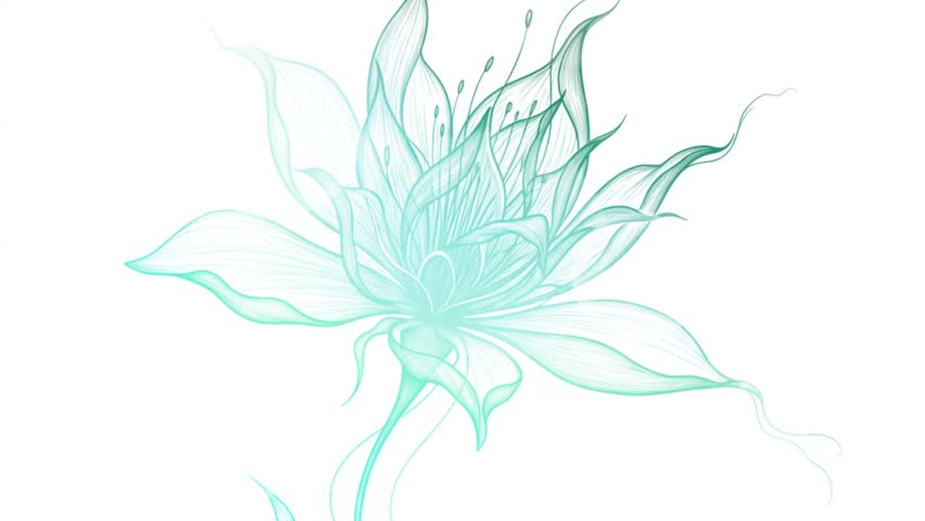 A simple digital animation of a flower blooming with light blue petals