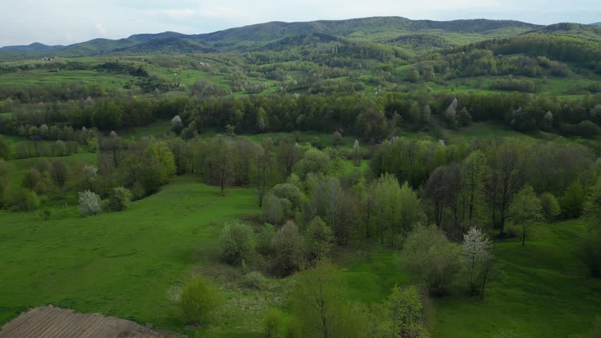 Lush green in Carpathian Mountains near Suceava, stunning landscape of Romania