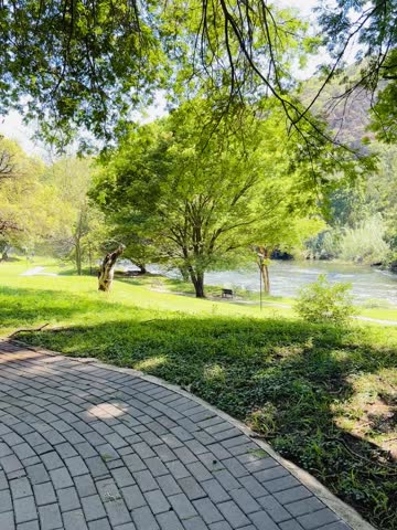 Beautiful nature surrounding the Pretoria game reserve 