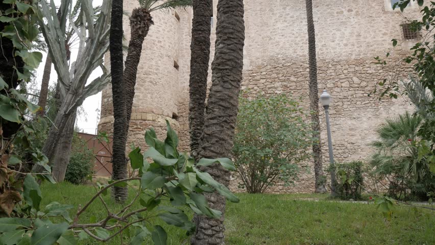 Palacio de Altamira in a lush park with towering palm trees, tranquil setting