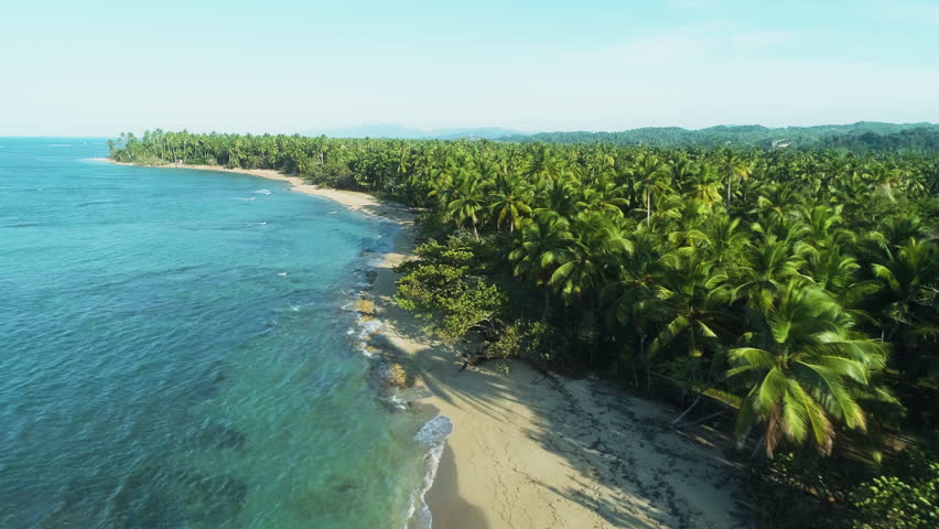 Drone flies along a wild tropical beach in Panama with palm trees, waves and distant hills.