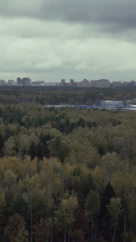Aerial view of autumn forest and city skyline under cloudy sky