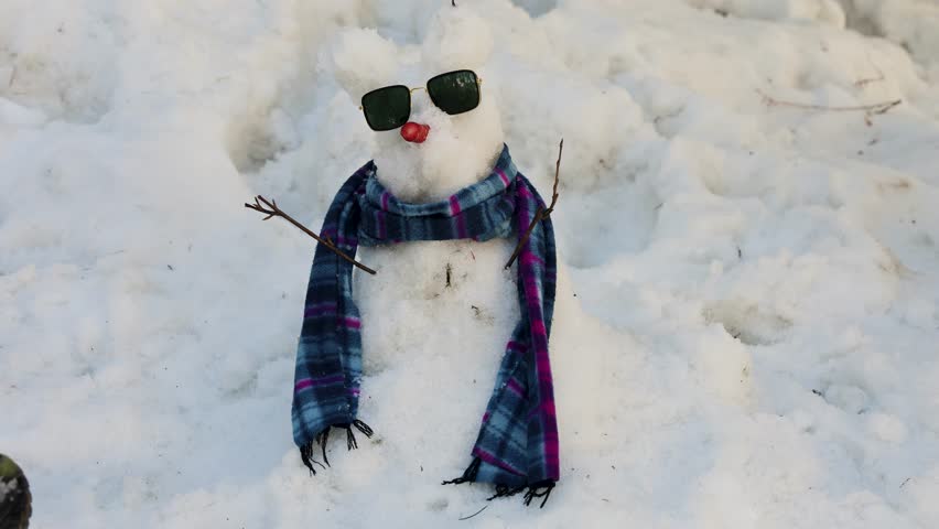 small snowman wearing sunglasses and scarf outdoors in winter