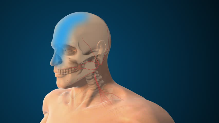 Facial Muscle Weakness Caused by Cranial Nerve Damage