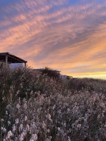 Scenic Sunset Over Field with Rustic Shed
