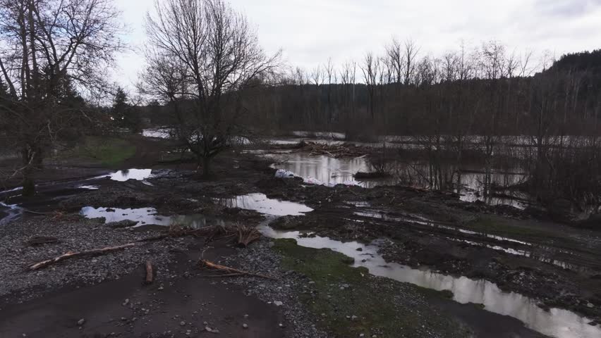 Levee Breached Along The White River Towards Neighborhoods In Pacific, Washington State, USA. Aerial Shot
