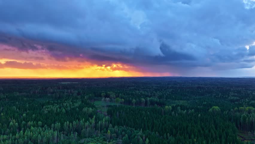 Stormy sunset sky over vast forest horizon, cinematic aerial shot