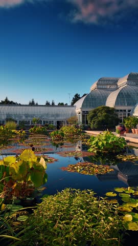 Reflection of botanical greenhouse in water lily pond. Wide exterior shot of glass conservatory structure and pond with floating lily pads.