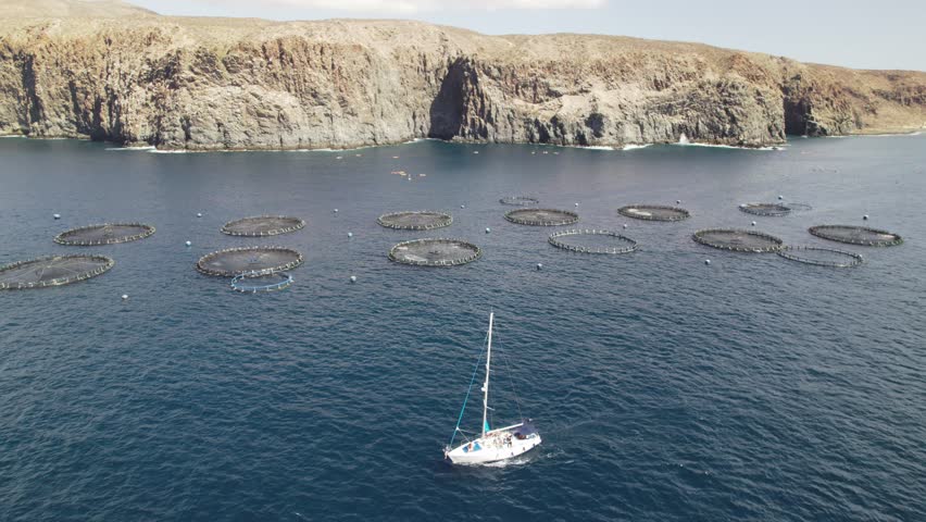 Zoom out aerial view of a sailboat navigating near offshore fish farming cages along the rugged coast of Tenerife in the Atlantic Ocean.