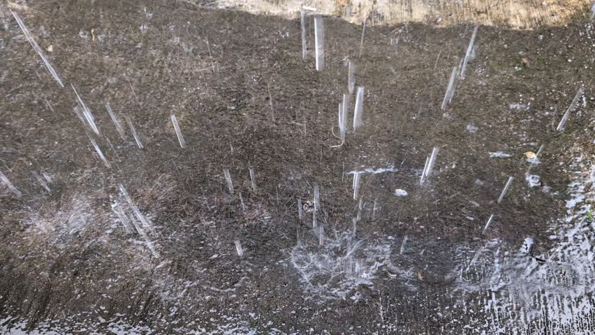 Raindrops hitting the ground surface create splashes during heavy rainfall.