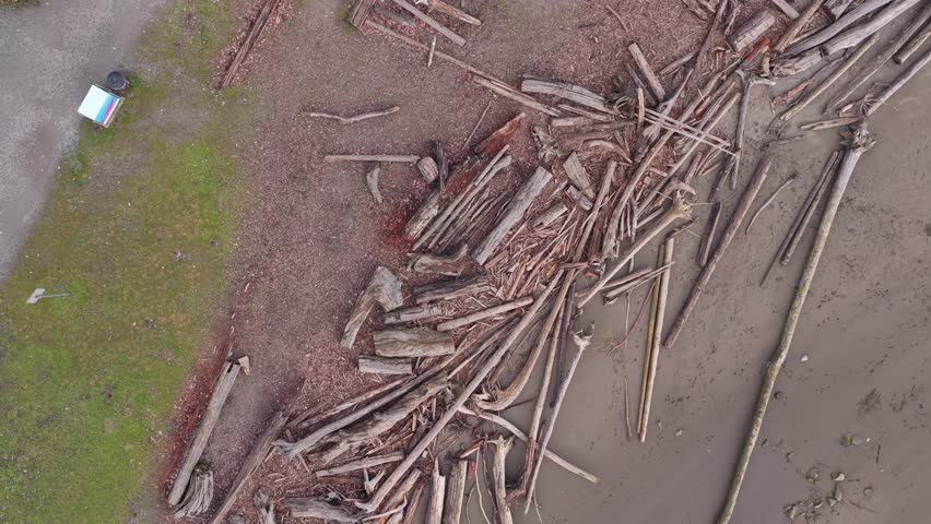 An aerial view shows a park by the water as a drone slowly rotates above scattered logs along the beach, revealing the shoreline from above.