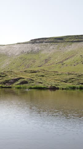 Several ducks swimming slowly across a calm pond, gentle ripples on the water, surrounded by green grassy hills and rocky slopes, soft daylight, peaceful and untouched natural landscape.
