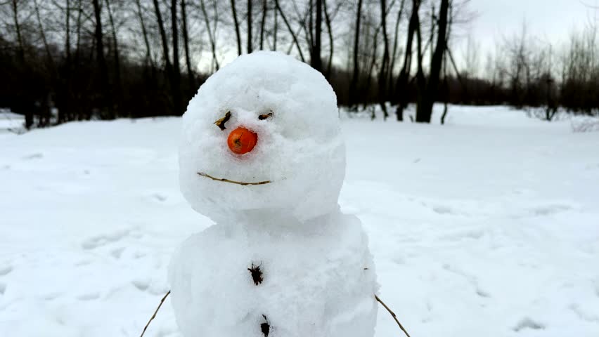 Handmade Snowman Standing In Winter Forest Under Grey Sky, Traditional Snowman Figure With Carrot Nose In Snowy Park, Seasonal Winter Holiday Decoration Outdoors, Funny Snowman Sculpture Built After Snow Blizzard, Cold Weather Activities, Pristine Winter Nature Landscape, White Snow Environment