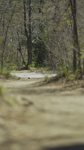 Caucasian man walking along a natural trail, leaving ample copy space in a calm outdoor environment.