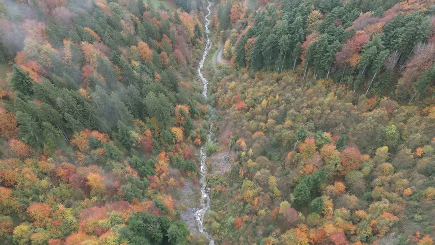 Alpine forest landscape featuring a small waterfall flowing through lush greenery