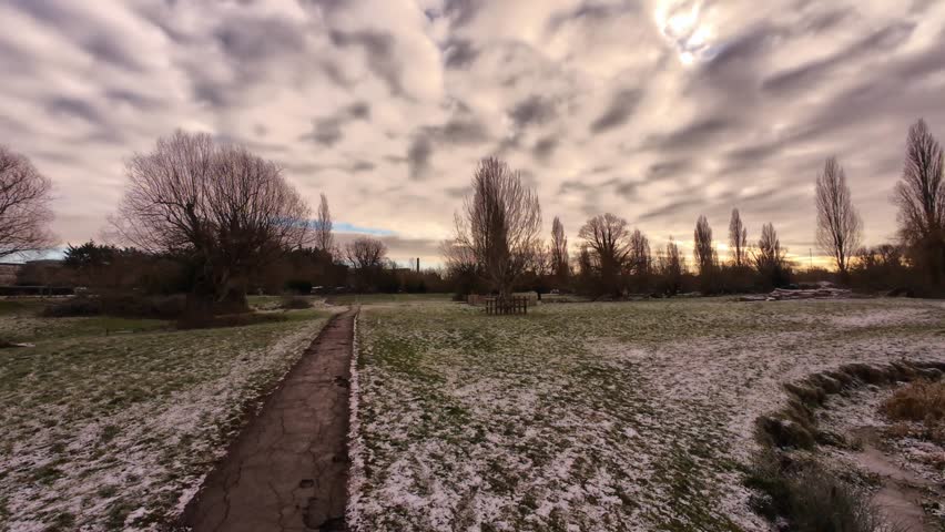 4K | Walking through Sheep