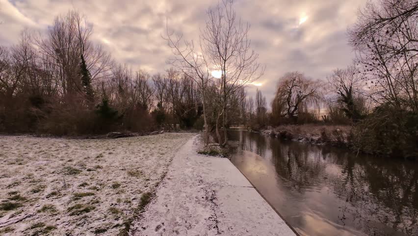 4K | Walking through Sheep