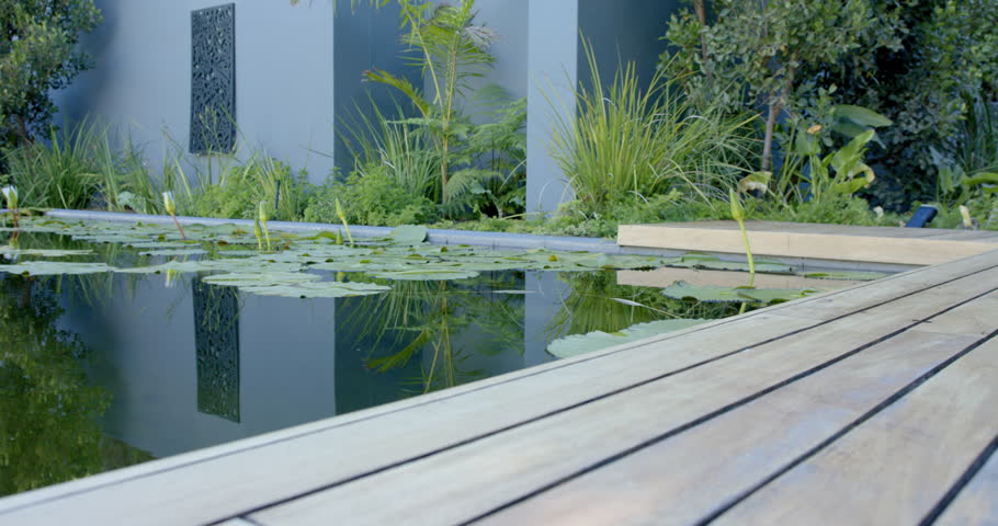 Camera is pulling back and tilting revealing pond with lilies mirroring grey wall showing courtyard. Reflection, serene, garden, symmetry, outdoor, landscaping, foliage