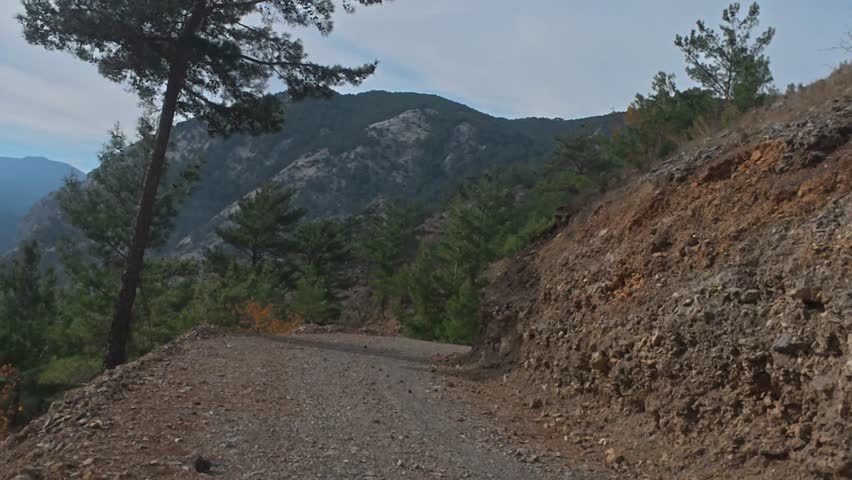 Mountainous landscape path. Mountain road forest. coniferous trees and yellow foliage. High quality 4k footage