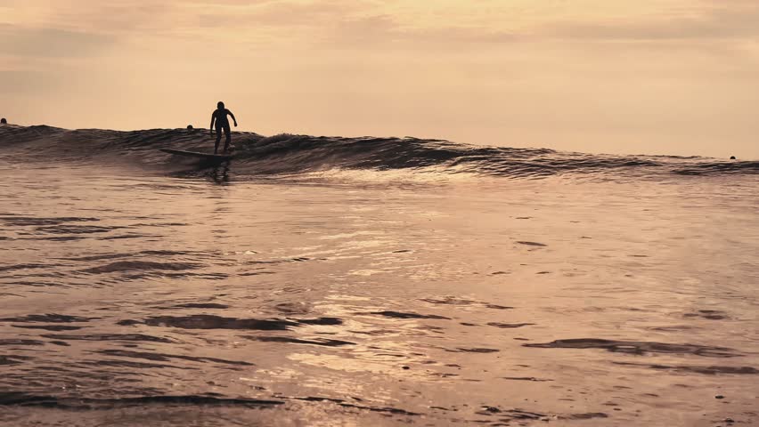 Young Woman Surfing At Sunset Silhouette On Longboard Riding Gentle Wave In Golden Hour Light, Calm Ocean