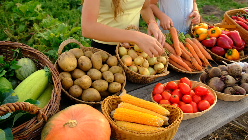 A child at a farmers market with vegetables. Selective focus.